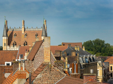 Zicht op het Steen