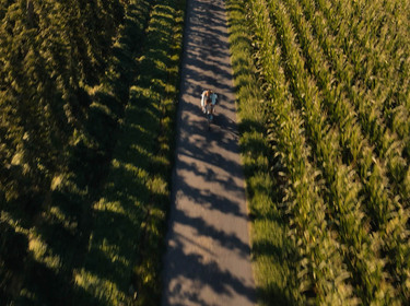 Fietsen vanuit Ieper